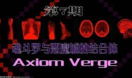 体热边缘在线观看,在线观看揭秘人体奥秘之旅